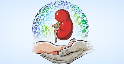 renal-transplantation