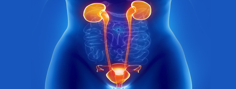 Endourology